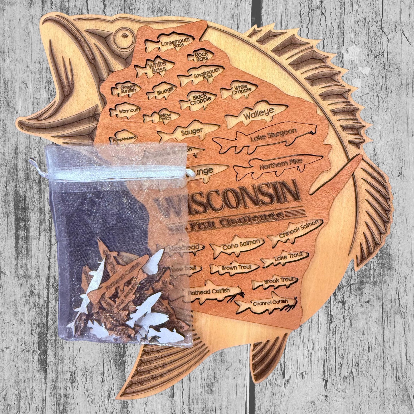 Wisconsin Fish Challenge