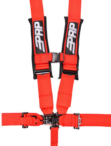 5.3 Harness Red PRP Seats