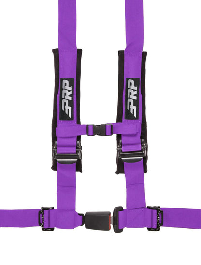 4.2 Harness Purple PRP Seats