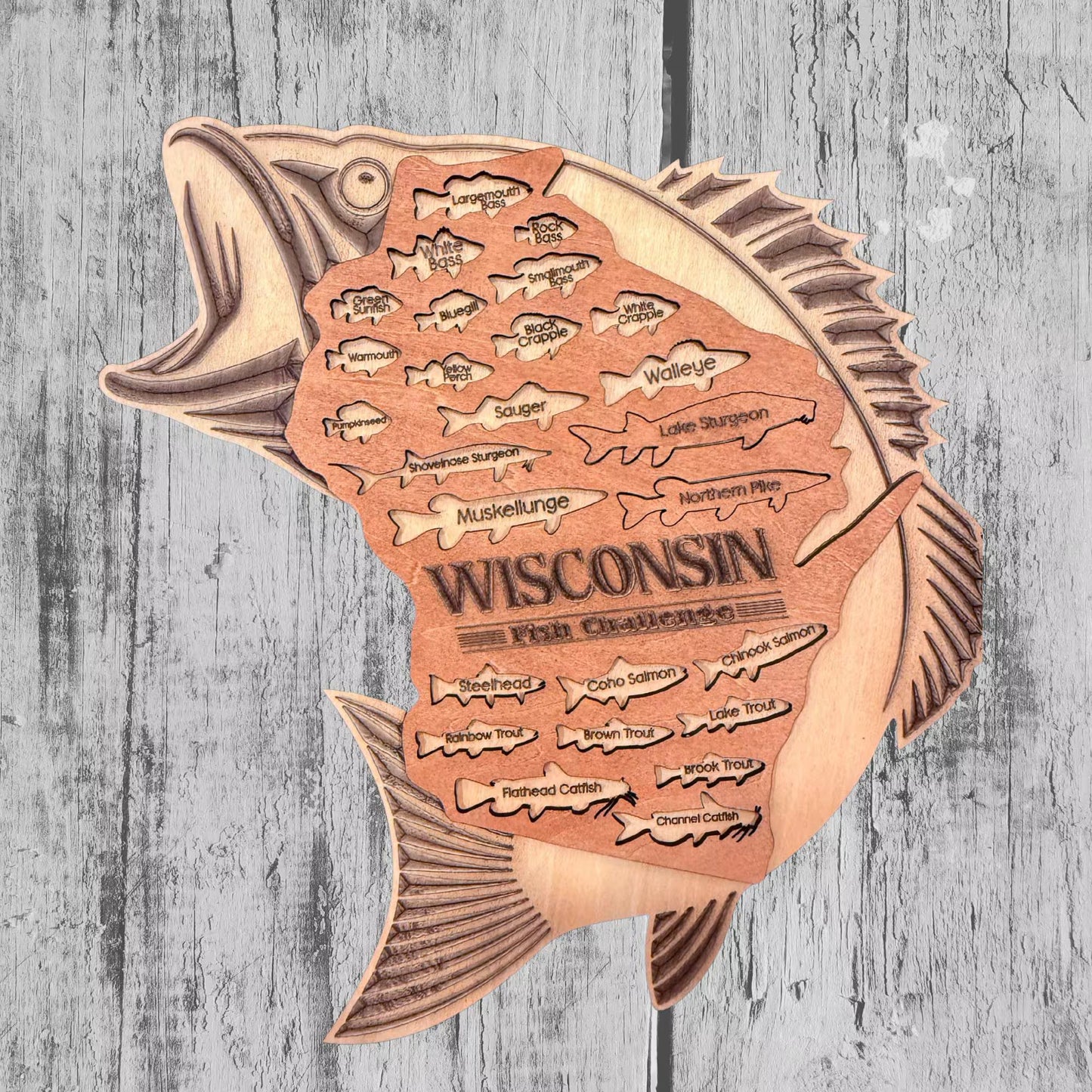 Wisconsin Fish Challenge